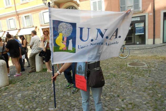 Cremona, canile: la lettera dell’Associazione UNA (Uomo-Natura-Animali)