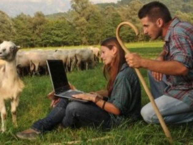 Azienda agricola, obiettivo dei giovani imprenditori