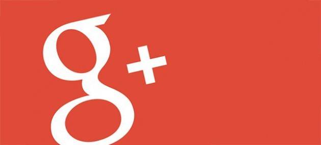 Google Plus per il business
