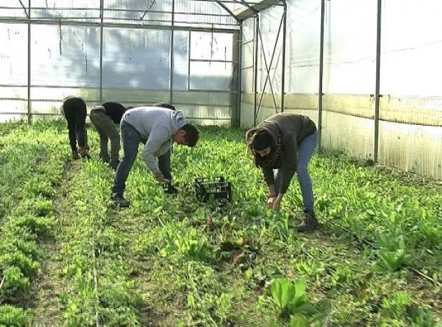 Flai-Cgil Fare rete per la legalità in agricoltura