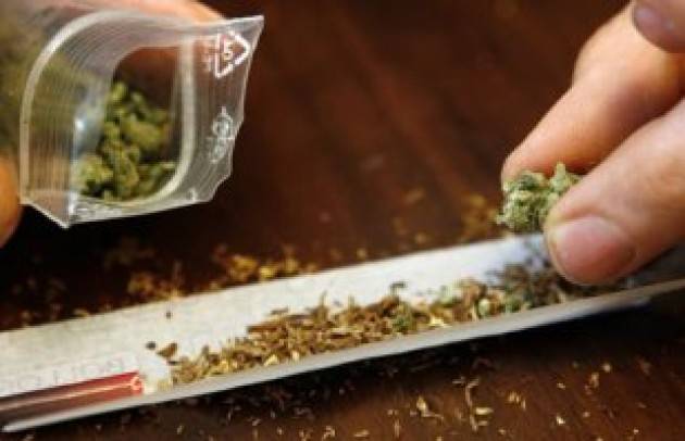 ADUC Legalizzazione cannabis. Istruzioni per l'uso
