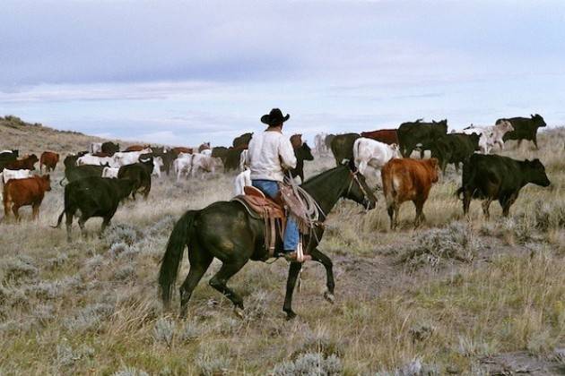 National Day of the American Cowboy Italy