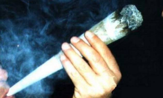 La marijuana non fa male. Umberto Veronesi (ADUC)