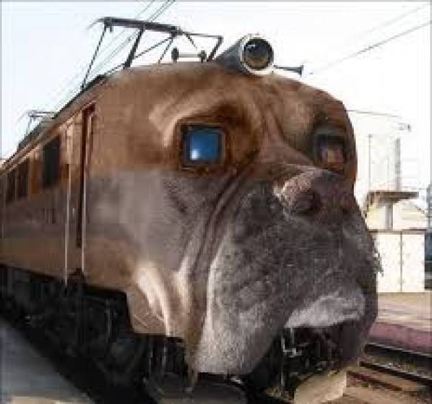 Cani e vacanze. Ottima l’iniziativa del biglietto del treno a 5 euro in agosto! (ADUC)