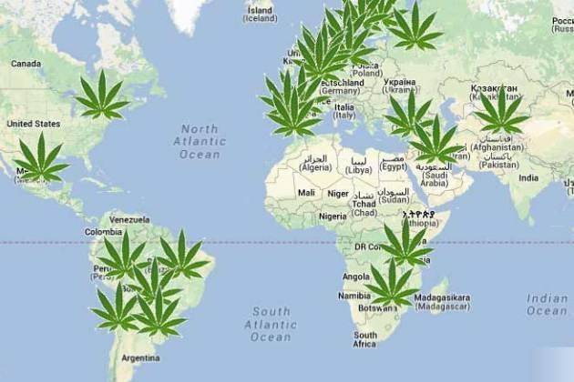 Cremona, a SpazioComune si può firmare per proposta di legge su cannabis legale