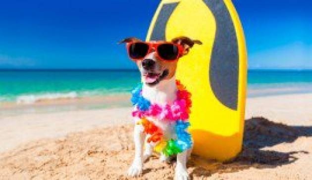 Le migliori spiagge per cani in Italia