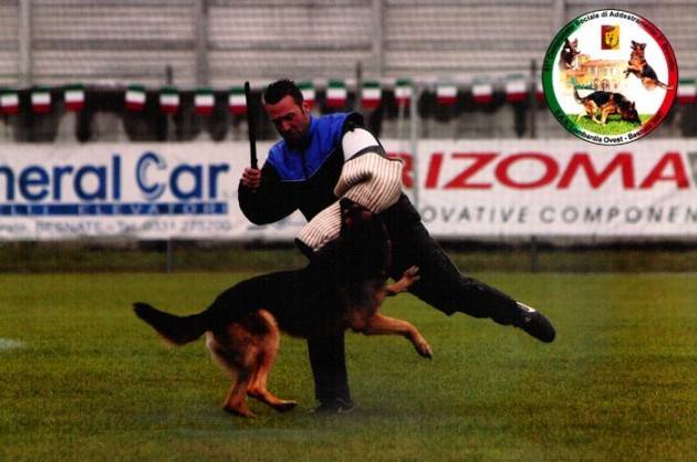 Nuovi corsi per educare il tuo cane