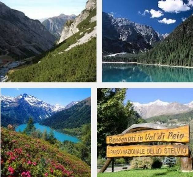 Futuro del Parco dello Stelvio soddisfazione di Italia Nostra, Legambiente e WWF