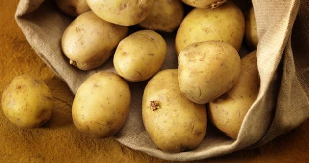 16 agosto Il significato della festa di San Rocco e degli gnocchi al pomodoro