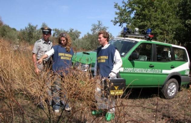 Forestale, la scelta ‘scellerata’ del governo di Federica Cametti