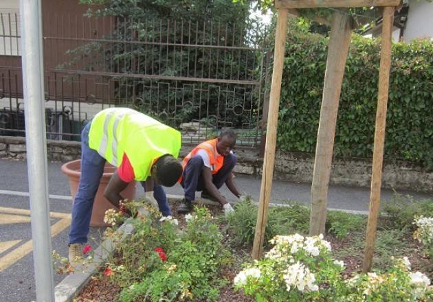 Migranti impegnati in attività di volontariato nelle aree verdi della città  di Cremona