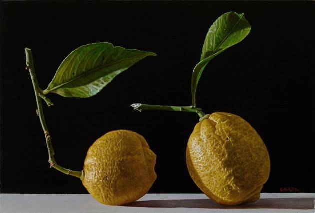 La prima mostra di Eataly Milano: Giuseppe Carta - Germinazioni. I diari della Terra