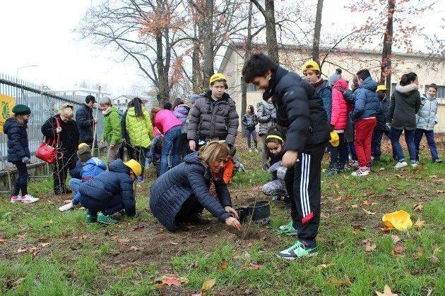 M5S di Cremona : Amianto anche nella Media Virgilio
