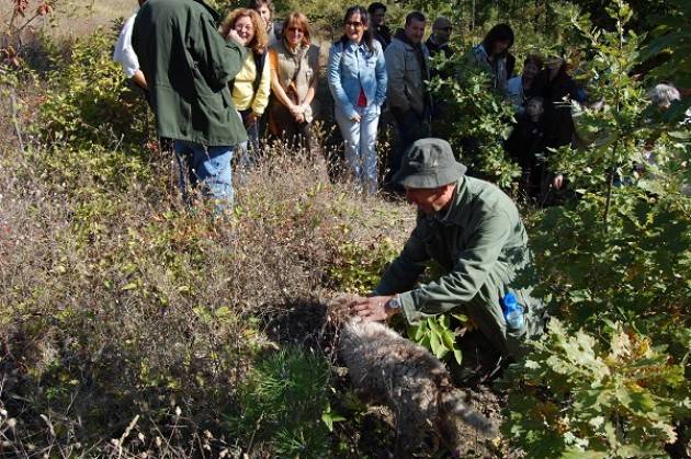 Sapor di funghi e tartufi Domenica 2 ottobre 2016 a Borgo di Nazzano a Rivanazzano Terme (Pv)