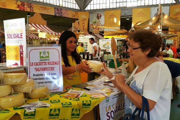 A Cremona, Campagna Amica domenica in Piazza Stradivari nel segno della solidarietà