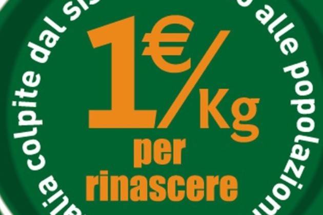 Parmigiano Reggiano, iniziativa per le popolazioni terremotate del centro Italia
