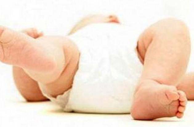 Crema Alle famiglie sarà consegnato il contenitore per la raccolta dei pannolini