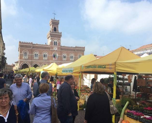 Casalmaggiore Oggi gran finale festa della Zucca Il vero Made in Italy per l’intera giornata torna in piazza