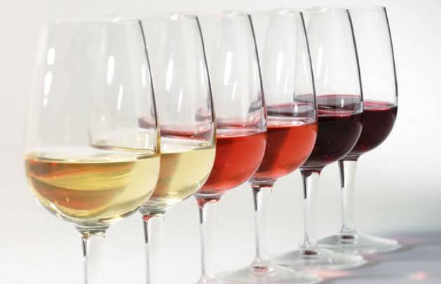 ONAV Cremona: quando degustare significa imparare