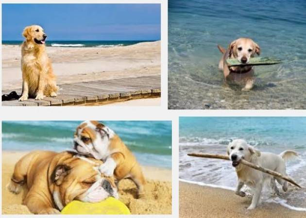 A quando una spiaggia per cani a Savona ?