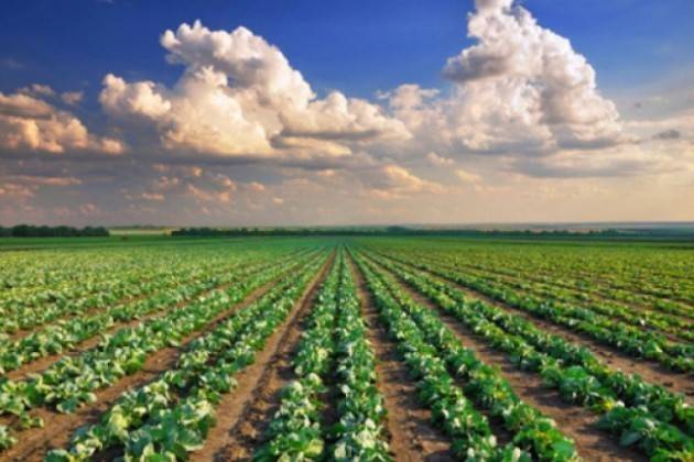Crisi a agricoltura Gli agricoltori investo 280mil. Cremona terzo posto