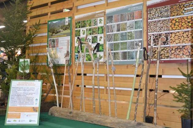 I ‘bastoni del Bassone’ tra i migliori prodotti di origine forestale