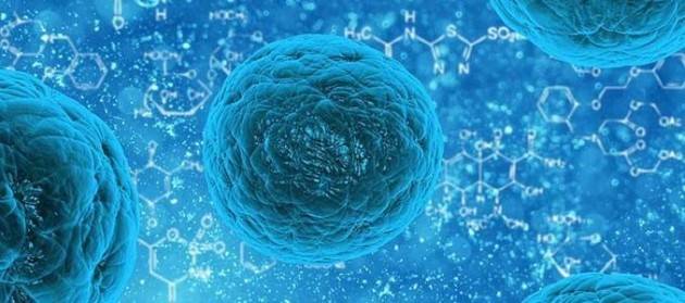 Cellule staminali, gli italiani ne sanno poco