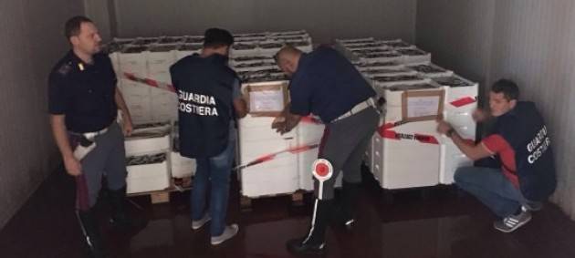 Maxi sequestro di pesce sull’autostrada