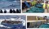 AccaddeOggi  #3ottobre 2013 – Naufragio di Lampedusa con circa 380 annegati