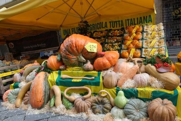 A Cremona, ‘Le quattro stagioni’ in Piazza Stradivari con la ‘Festa della Zucca’