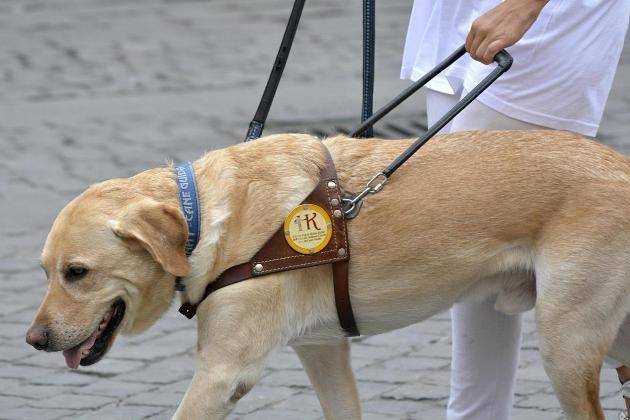 Cremona, Unione dei Ciechi e degli Ipovedenti: Giornata Nazionale del Cane Guida