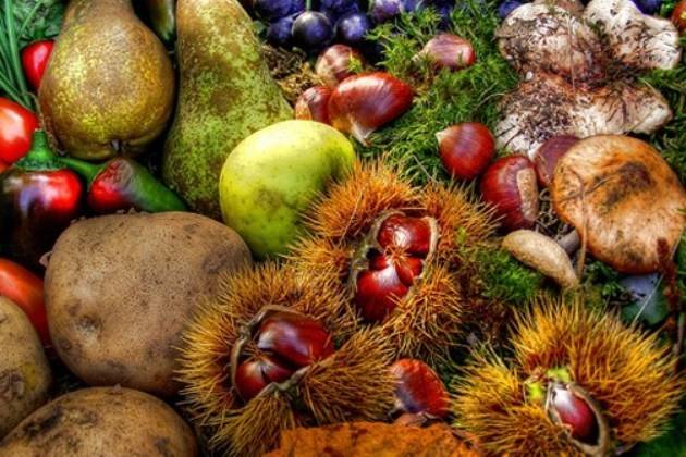 Cremasco, da domani nel territorio ‘Un Po della Bassa’, rassegna enogastronomica