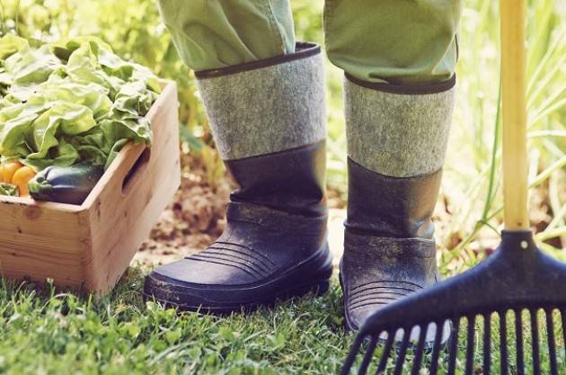 Crisi, Coldiretti al fianco della Diocesi di Milano: tirocini in aziende agricole per chi è senza lavoro