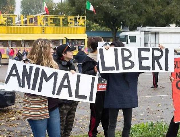 Cremona Sit In della Lav contro gli animali al circo Orfei