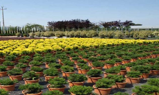 Coldiretti A Milano il forum dei vivaisti lombardi tra aiuole mangia smog e nuovi parchi