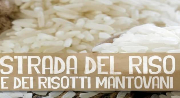 Mantova Fiera del riso Vialone nano fino a lunedì 31 ottobre