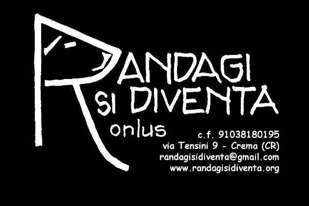 Crema, domenica l’Associazione Randagi si Diventa ‘sposa’ il melograno