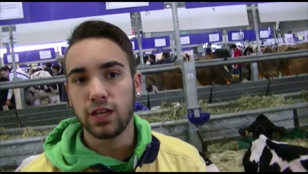 (Video) Immagini dalla 71° Fiera Zootecnica Internazionale  di Cremona 2016