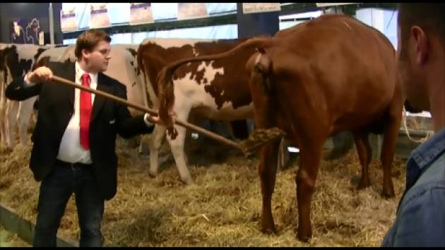 (Video) Immagini dalla 71° Fiera Zootecnica Internazionale  di Cremona 2016