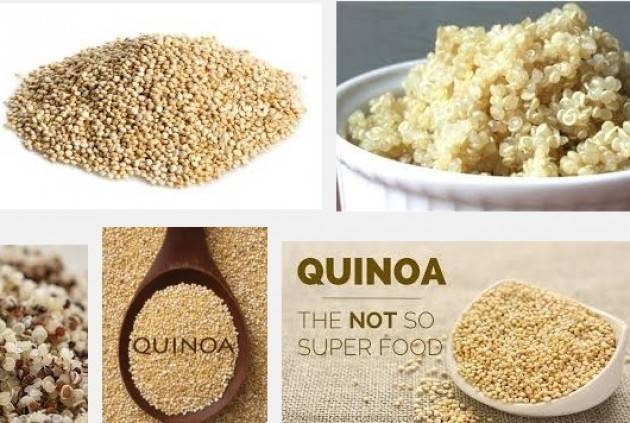 Aduc Quinoa. Un alimento completo e costoso