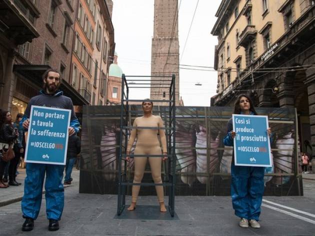 Ecco come si producono prosciutti Provocatoria installazione di Essere Animali a Bologna