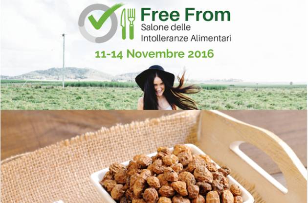 Cremona Il tubero dei Faraoni Dall'antico Egitto un nuovo alleato per la salute: la chufa
