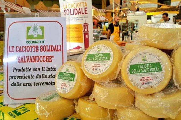 Crema, le caciotte della solidarietà domenica al Mercato di Campagna Amica