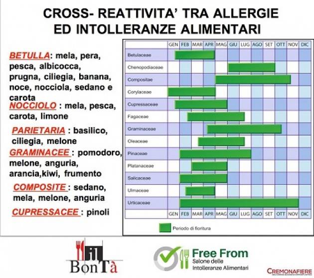  Bontà Free From Cremona Fiere Allergia ai pollini?  Non mangiare mela, pera, pesce, finocchio e carota