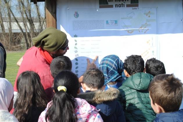 Cremona aderisce alla Giornata nazionale degli alberi