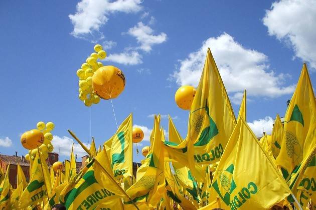 Cremona, Coldiretti: si festeggia il compleanno della dieta mediterranea