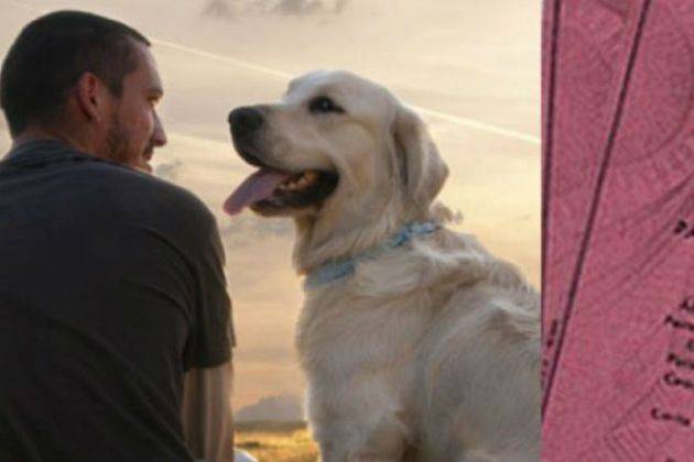 Cremona, corso per proprietari di cani: sabato la consegna dei patentini