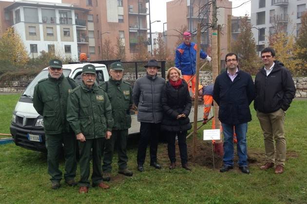 Cremona, Giornata Nazionale degli Alberi: piantumata quercia al parco Fazioli