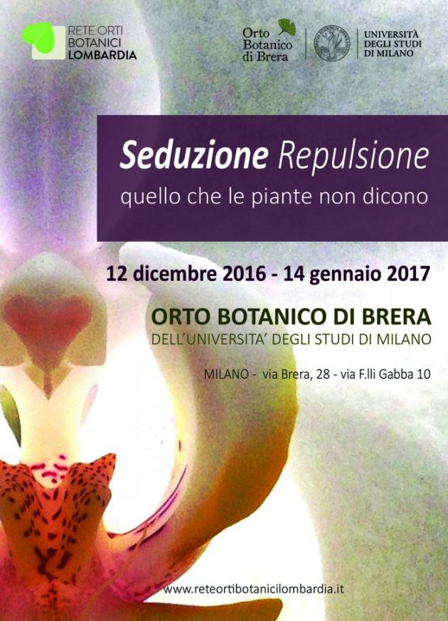 In mostra nell'Orto Botanico di Brera a Milano, i sottili giochi di prestigio della natura