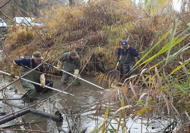 Cremona  Manutenzione straordinaria di tre laghetti Comunali